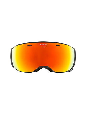 ALPINA | Gafas de esquí Estetica HM