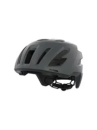 ALPINA | Casco de bicicleta Taunus Gravel MIPS | Gris