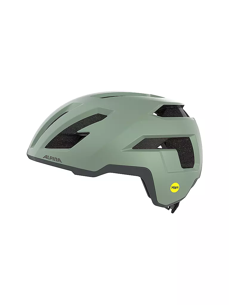 ALPINA | Casco de bicicleta Taunus Gravel MIPS |