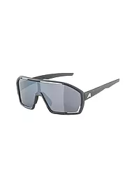 ALPINA | Gafas de ciclismo Bonfire para hombre | Gris