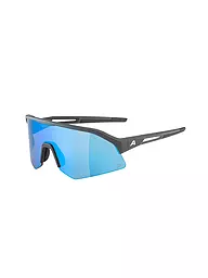 ALPINA | Gafas de ciclismo para hombre Sonic HR Q | Gris