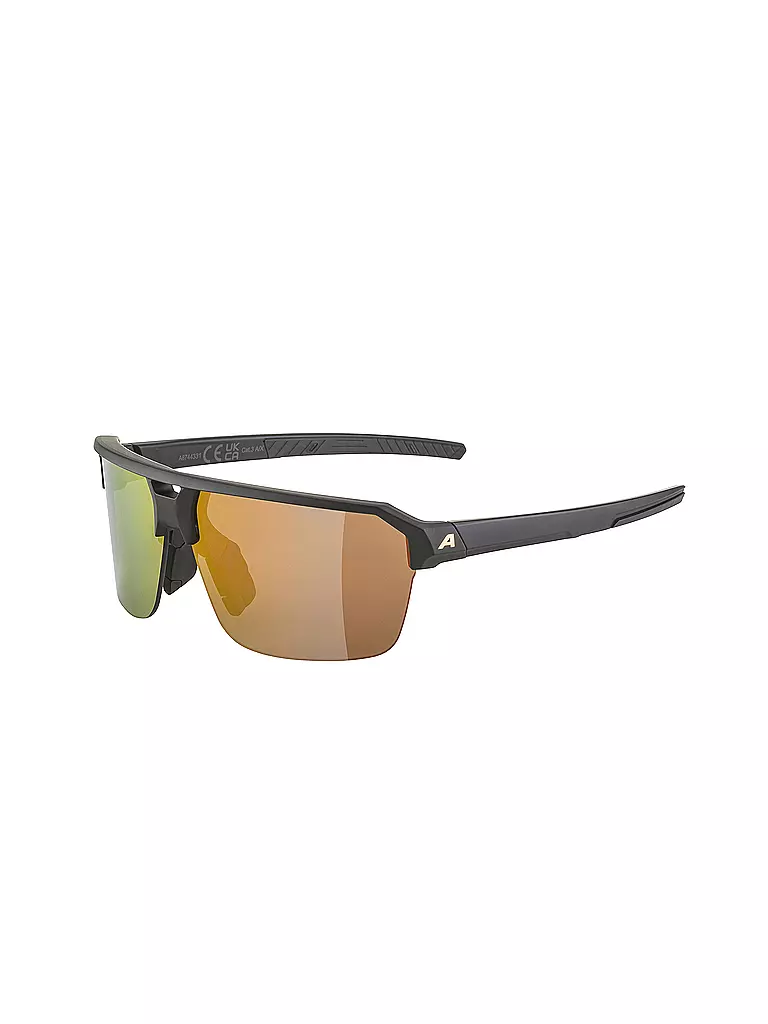 ALPINA | Gafas de ciclismo para hombre Swift HR | Negro