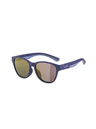 ALPINA | Gafas de montaña para niños Flexxy Cool Kids II | Azul oscuro