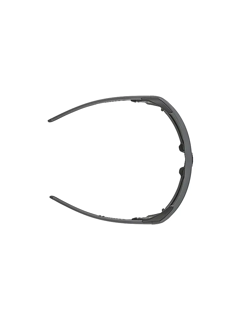 ALPINA | Gafas de montaña Skiwalsh para hombre |