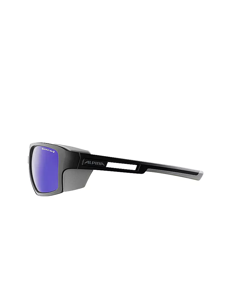 ALPINA | Gafas de montaña Skywalsh para hombre |