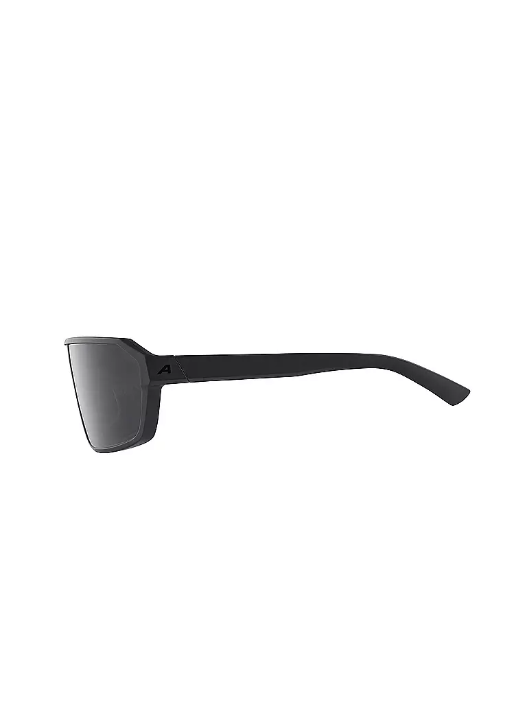 ALPINA | Gafas de sol deportivas Swift para hombre |