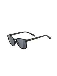 ALPINA | Gafas de sol Yefe para hombre | Negro