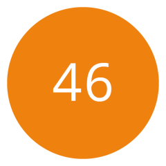 Círculo naranja con el número 46 en blanco en el centro.