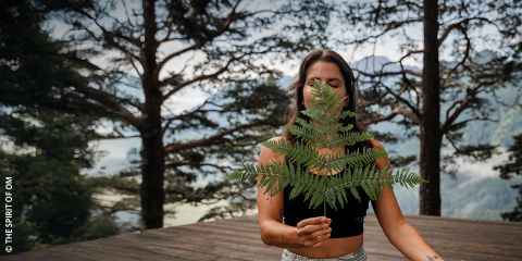 Una persona al aire libre sostiene una gran hoja de helecho verde frente a su cara y está de pie en una plataforma de madera con árboles altos y montañas brumosas al fondo.