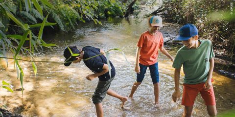Drei Kinder in Freizeitkleidung und mit Mützen waten und spielen an einem sonnigen Tag in einem seichten Bach, der von Bäumen und Grün umgeben ist.