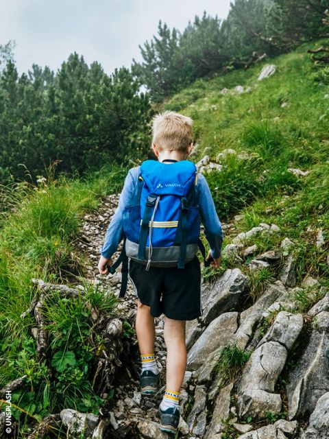 Un niño con una mochila azul camina por un sendero de montaña rocoso y verde, rodeado de hierba y árboles.
