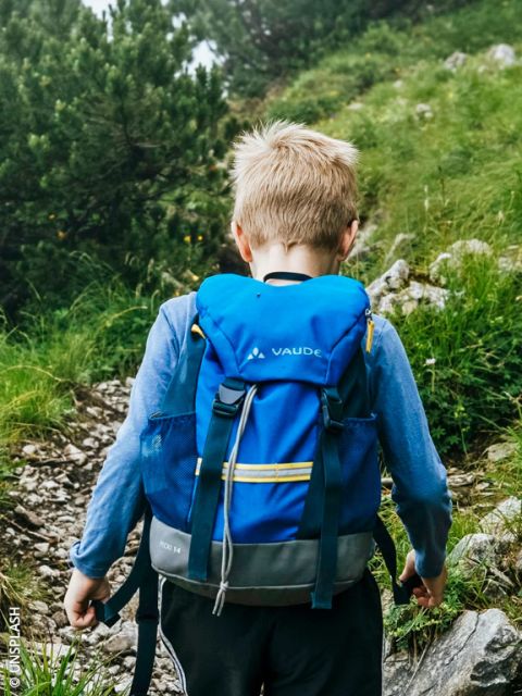 Un niño con una mochila azul camina por un sendero rocoso y cubierto de hierba, rodeado de arbustos y árboles verdes.