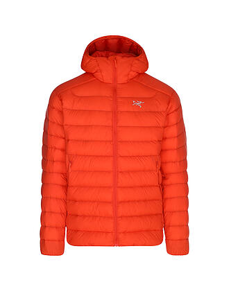 ARCTERYX | Chaqueta aislante con capucha Cerium para hombre