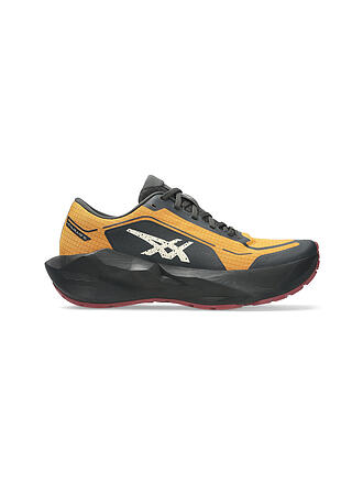 ASICS | Zapatillas de running para hombre Novablast 6 GTX