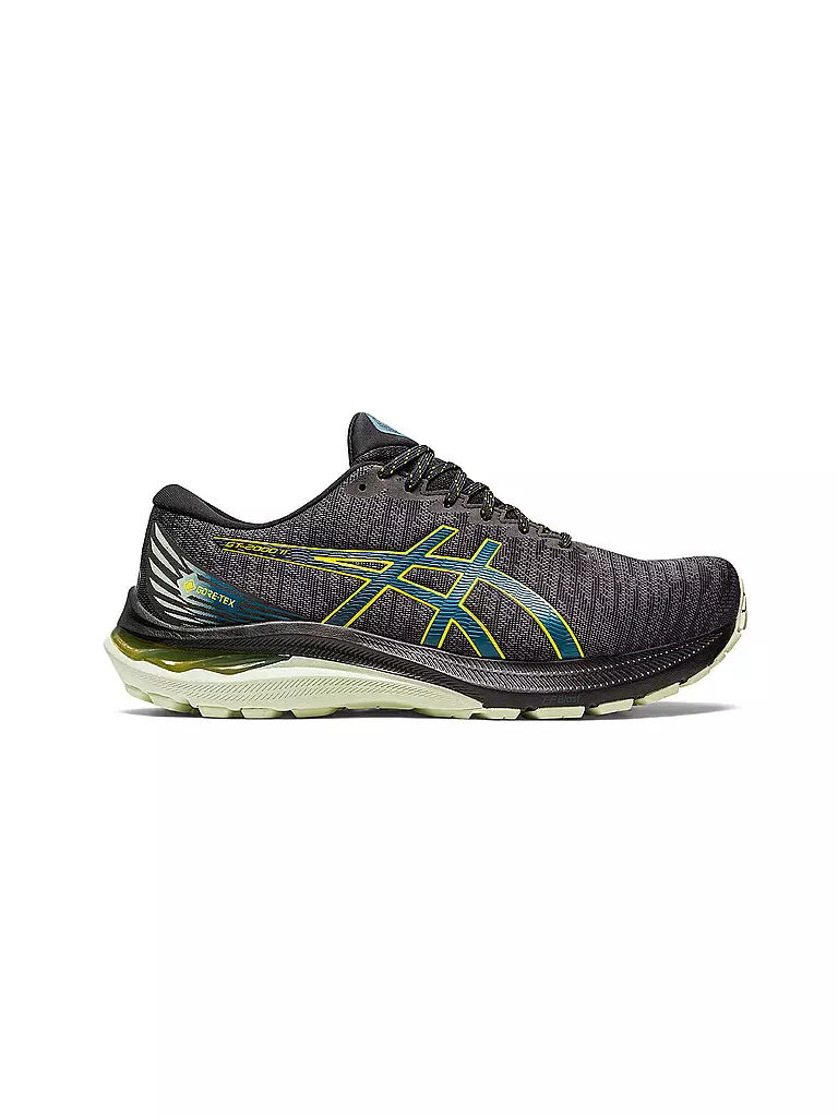 ASICS | Herren Laufschuhe GT-2000™ 11 GTX | Negro