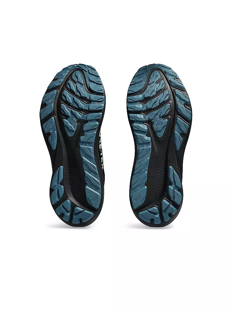 ASICS | Herren Laufschuhe GT-2000 12 GTX | Negro