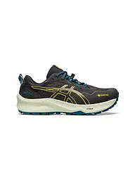 ASICS | Herren Traillaufschuhe Gel-Trabuco 11 GTX | Negro