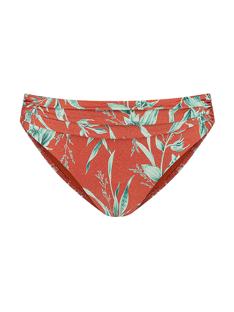 Bragas de bikini para mujer marrón 40