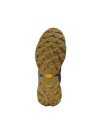 DYNAFIT | Zapatillas de trail running para hombre Ultra 100 GTX