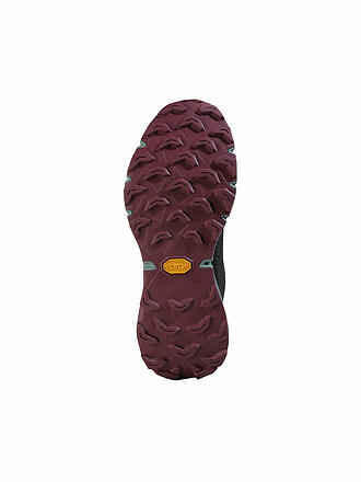DYNAFIT | Zapatillas de trail running para mujer Ultra 100 GTX