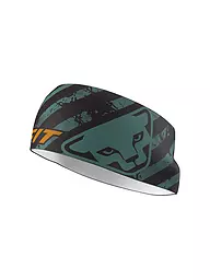 DYNAFIT | Stirnband Graphic Performance | Petróleo