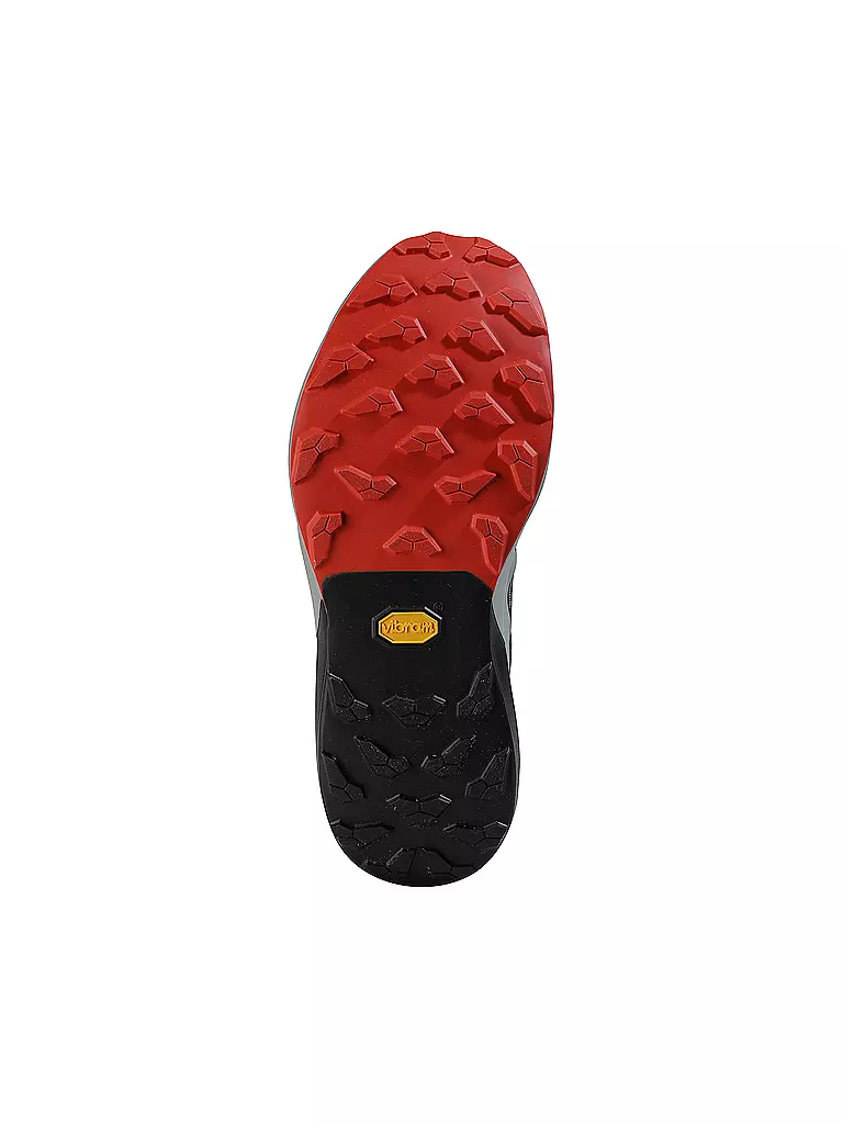 DYNAFIT | Zapatillas de trail running para hombre Alpine Pro2 |