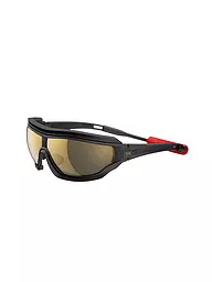 EVIL EYE | Sportbrille Fusor Pro Black Matt Gletscher 4 | Negro