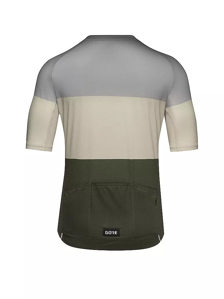 GOREWEAR | Herren Radtrikot Spirit Stripes | Gris claro
