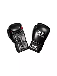 HAMMER | Guantes de boxeo X-SHOCK | Negro