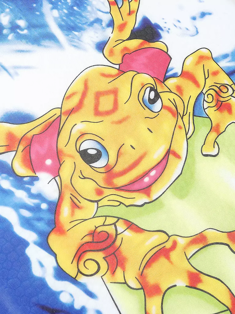 HAPPY PEOPLE | Wellenreiter 45 x 30 cm | 