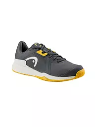 HEAD | Zapatillas de tenis para hombre Sprint Team 3.0 Clay | Gris