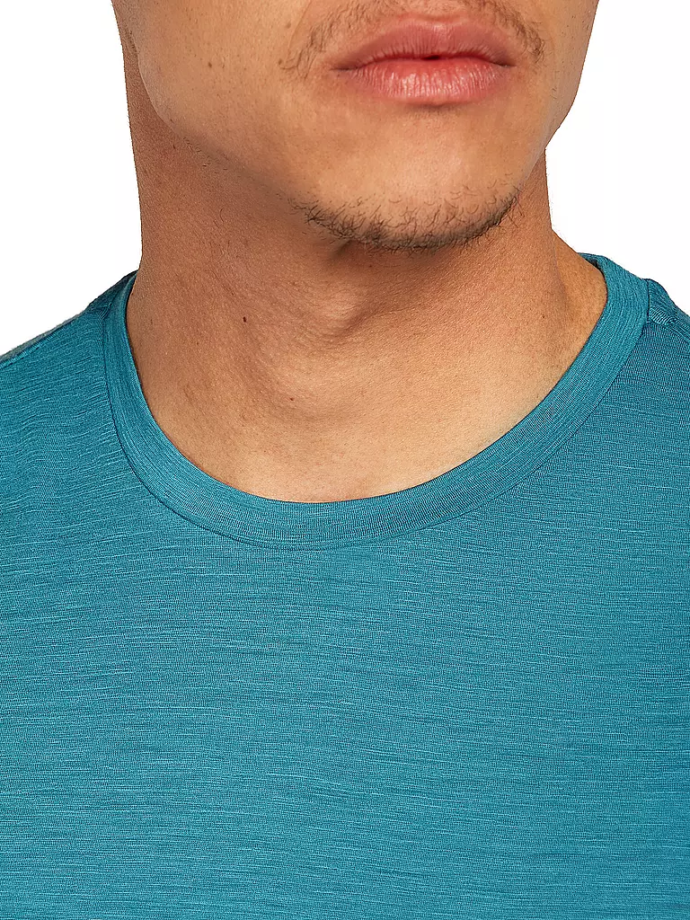 ICEBREAKER | Camiseta funcional de hombre Mount Pulse 150 Tech |