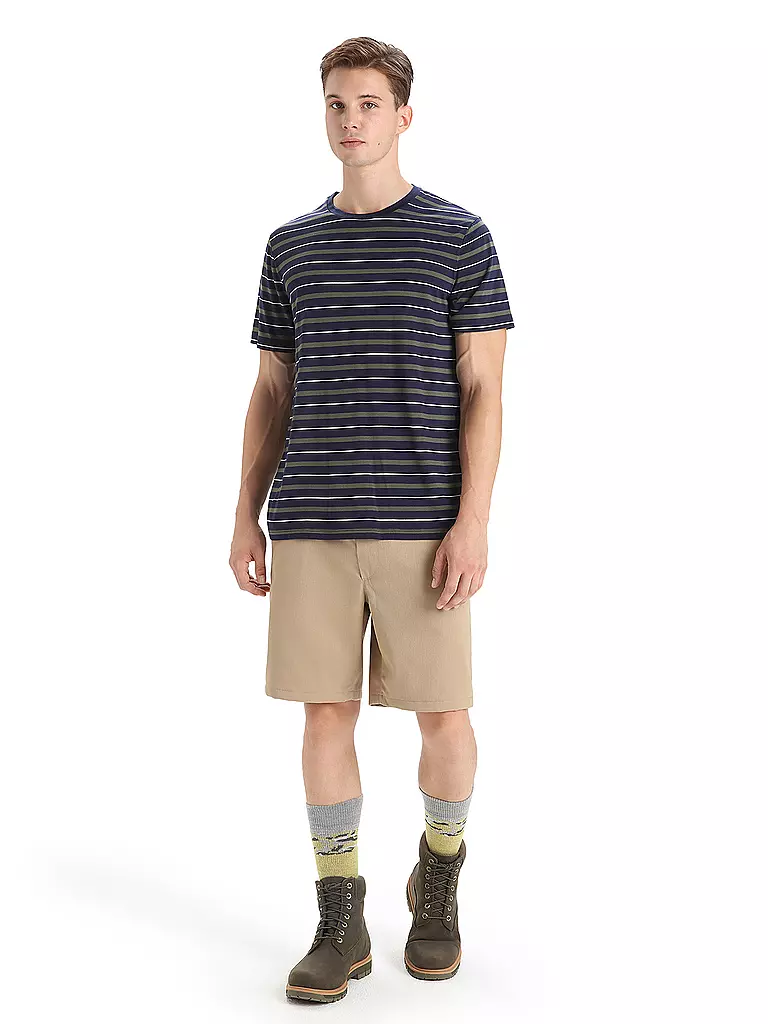ICEBREAKER | Camiseta funcional de hombre Wave Stripe |