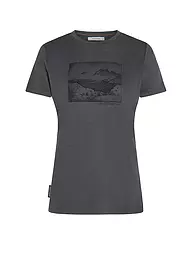 ICEBREAKER | Camiseta funcional de mujer Lake View 150 Tech-Lite | Gris