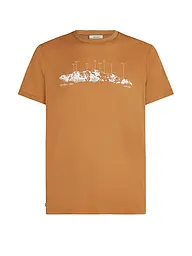 ICEBREAKER | Camiseta funcional para hombre Massif Trail 150 Tech | Mostaza