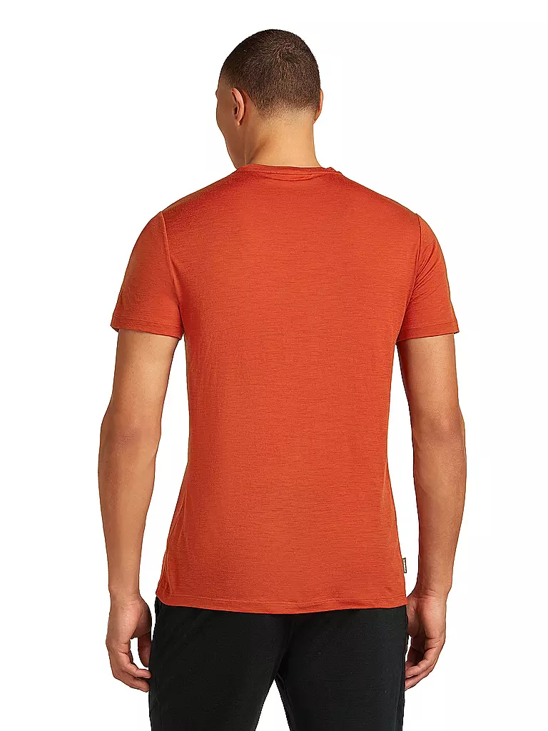 ICEBREAKER | Camiseta funcional para hombre Mount Pulse 150 Tech |