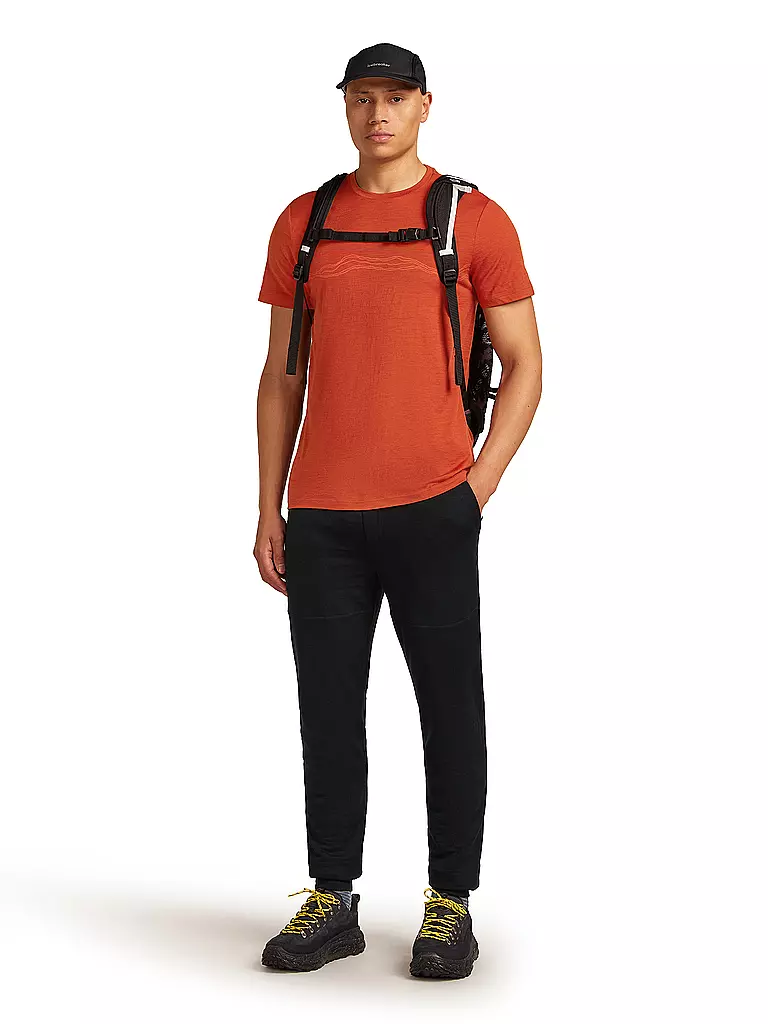 ICEBREAKER | Camiseta funcional para hombre Mount Pulse 150 Tech |