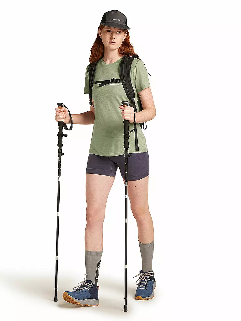 ICEBREAKER | Damen Funktionsshirt Single 150 Tech |