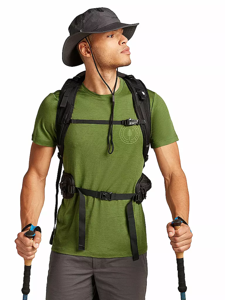 ICEBREAKER | Herren Funktionsshirt Hike 150 Tech |