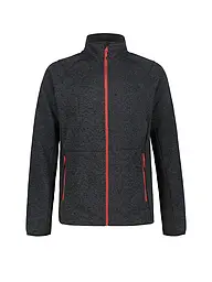 ICEPEAK | Forro polar Bode para hombre | Gris