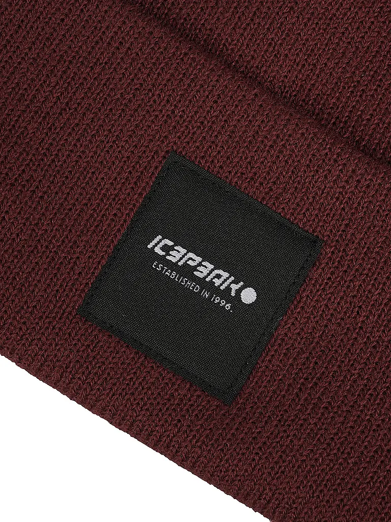 ICEPEAK | Gorro Harcourt |