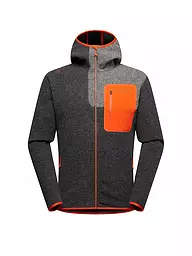 LA SPORTIVA | Herren Kletterhoodie Agon | Gris