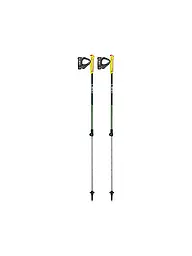 LEKI | Bastón de Nordic Walking Walker XS para niños | Gris