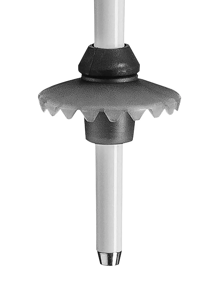 LEKI | Bastones de esquí para mujer Stella S | Negro