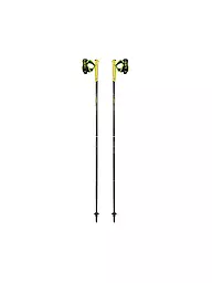 LEKI | Bastones de Nordic Walking Evotrail FX.One TA | Gris
