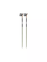 LEKI | Bastones de Nordic Walking Flash Carbon | Negro