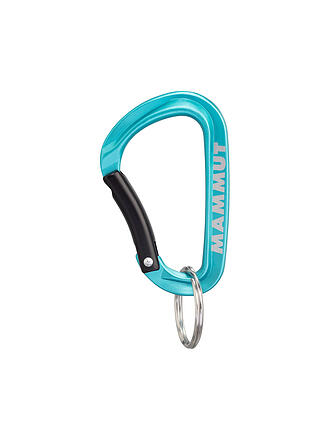 MAMMUT | Mini mosquetón clásico Keylock S Mammut