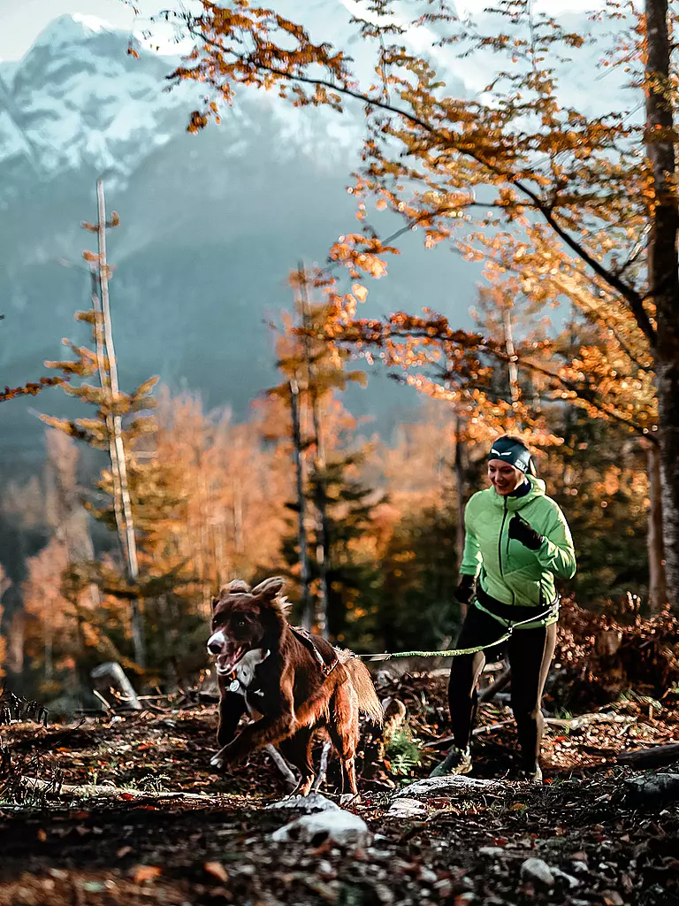 MAMO PET SPORTS | Sistema de cinturón infinito Mamo 360° | 