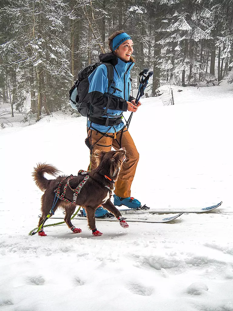 MAMO PET SPORTS | Sistema de cinturón infinito Mamo 360° | 