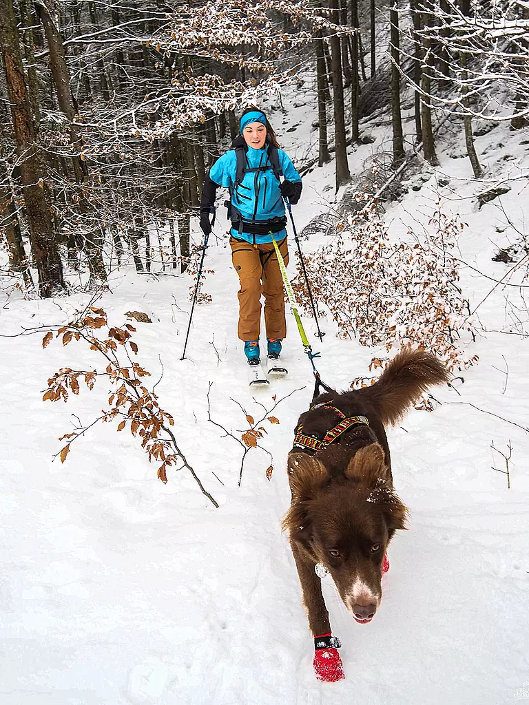 MAMO PET SPORTS | Sistema de cinturón infinito Mamo 360° | 